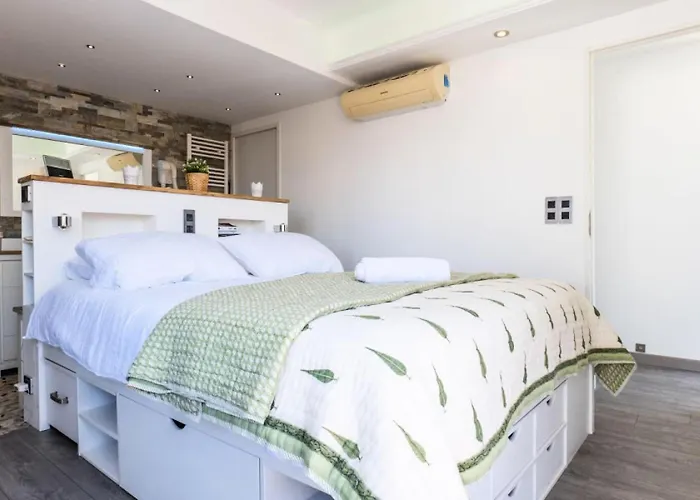 Duplex En Toit-terrasse A Deux Pas De La Croisette - Duplex En Toit-terrasse A Deux Pas De La Croisette Mae-2383 * 戛纳